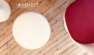 Audicit
