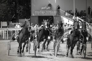 Fédération régionale des courses hippiques